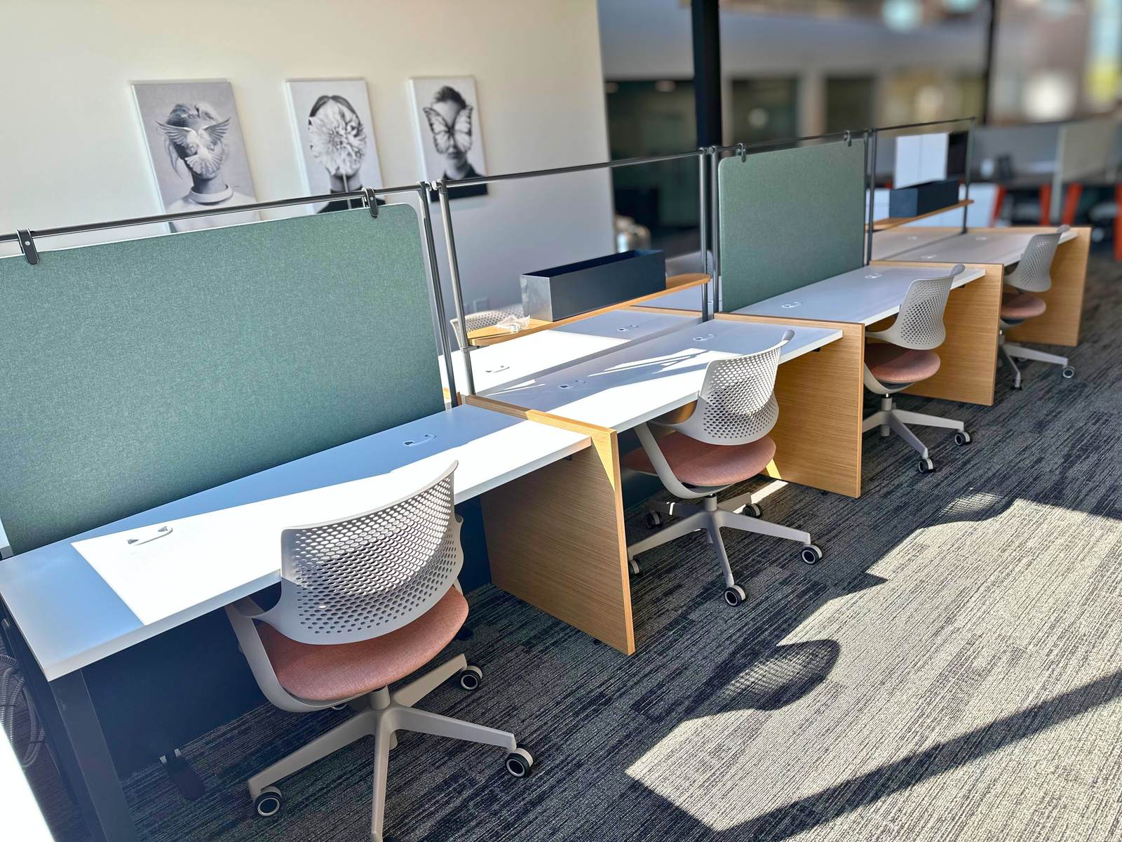 Row of hoteling desks with privacy screens on the coworking floor at SpringPad in Lincoln, Nebraska